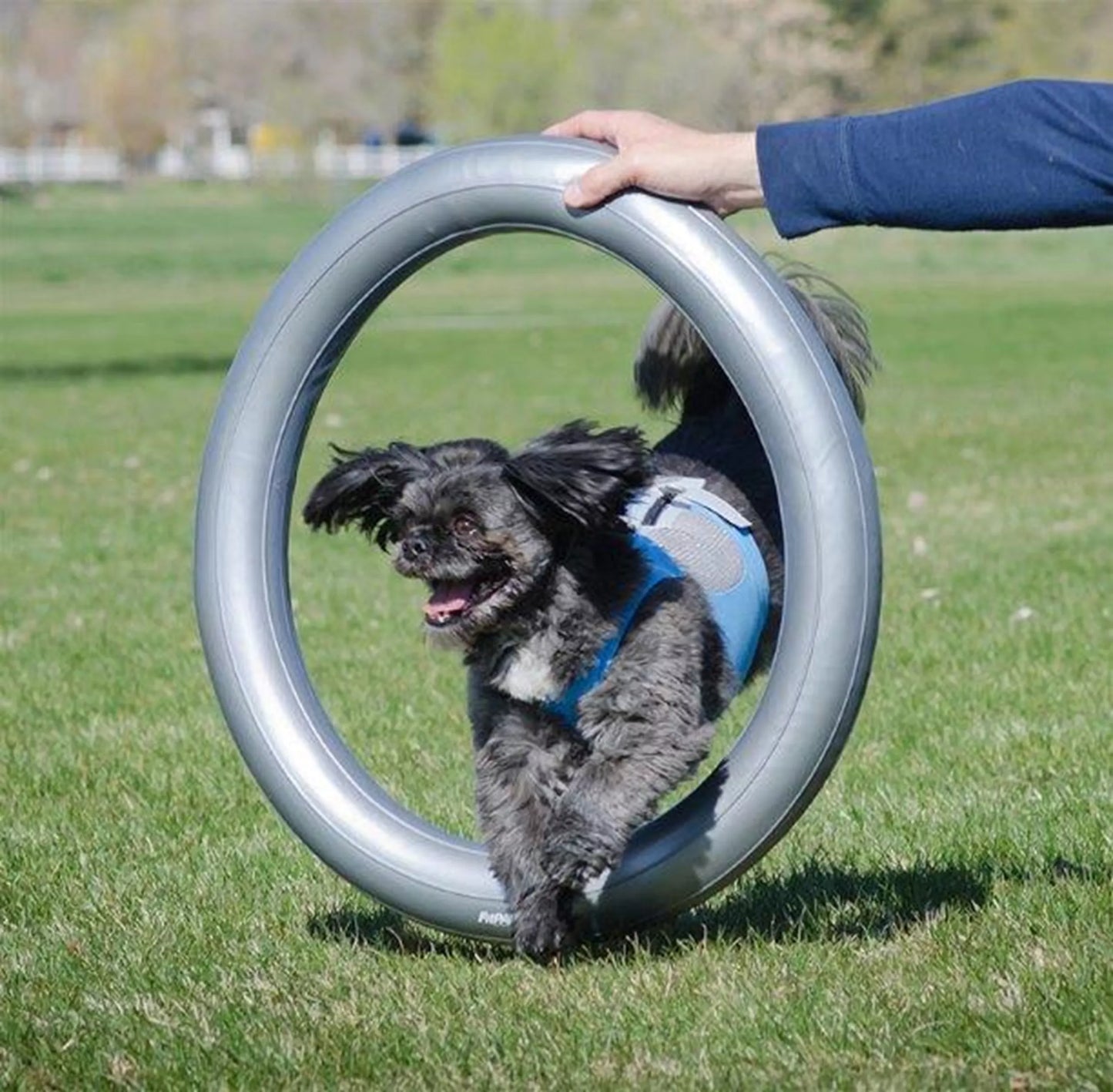 FitPAWS Donut Holder Ring