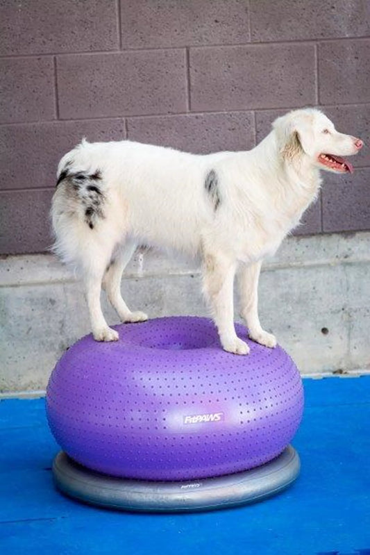 FitPAWS Trax Donut - 55cm