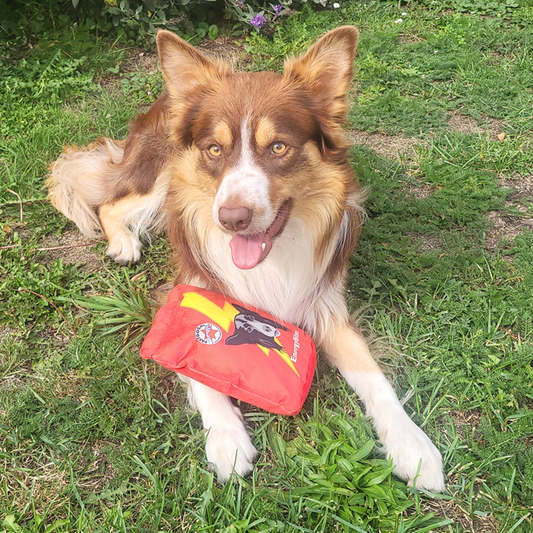 Fastdog Energy Bites Speeltje