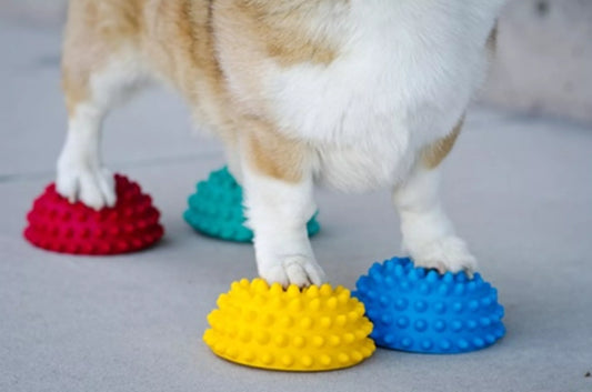 FitPAWS Paw Pods - 4 stuks