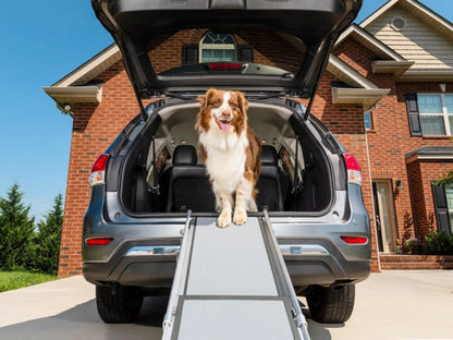 PetSafe - Happy Ride Extra-long Telescoping Dog Ramp