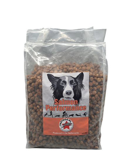Fastdog Salmon Performance