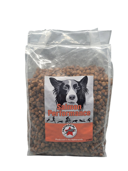 Fastdog Salmon Performance