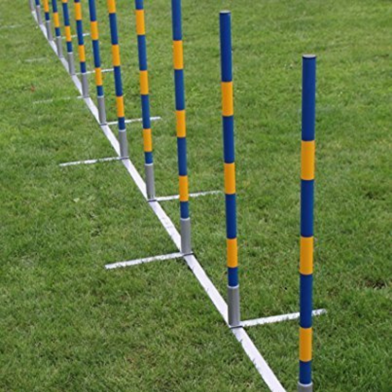 Topmast Slalom - Recht