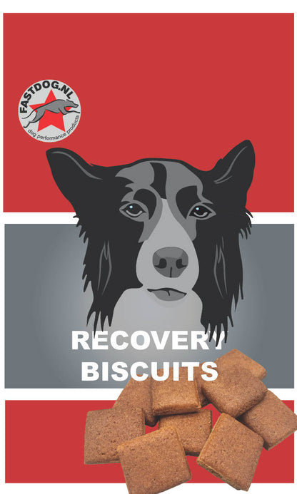 Fastdog Dog Recovery Biscuits - 500 gram