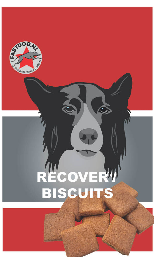 Fastdog Dog Recovery Biscuits - 500 gram