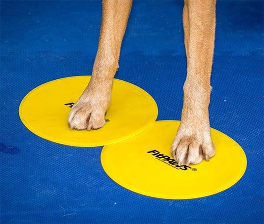 FitPAWS Targets - 4 stuks